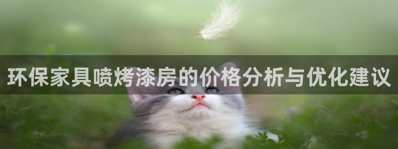 沐鸣2平台几年了：环保家具喷烤漆房的价格分析与优化建议