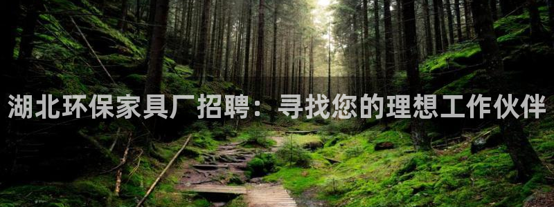 沐鸣2代理登录中心：湖北环保家具厂招聘：寻找您的理想工作伙伴
