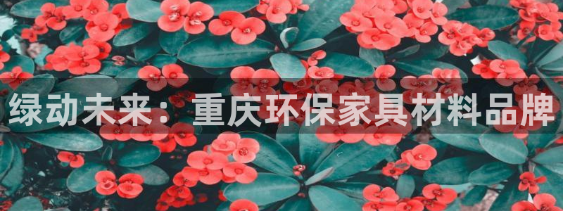 沐鸣2平台注册：绿动未来：重庆环保家具材料品牌