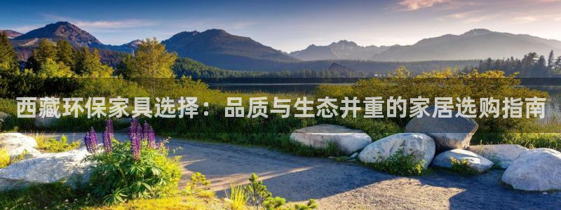 沐鸣2平台测速登录：西藏环保家具选择：品质与生态并重的家居选