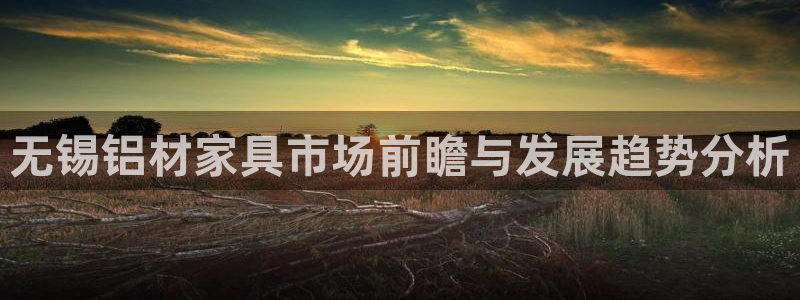 沐鸣2官网主管：无锡铝材家具市场前瞻与发展趋势分析