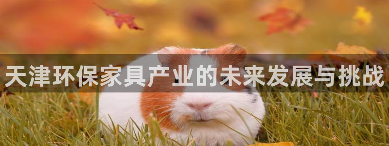 沐鸣2官网娱乐：天津环保家具产业的未来发展与挑战