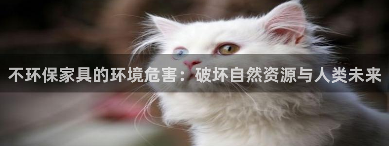 沐鸣2平台官网登录：不环保家具的环境危害：破坏自然资源与人类