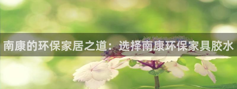 沐鸣2平台手机下载：南康的环保家居之道：选择南康环保家具胶水