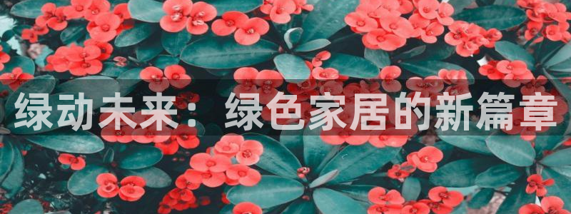 沐鸣2平台代理登录网址查询：绿动未来：绿色家居的新篇章