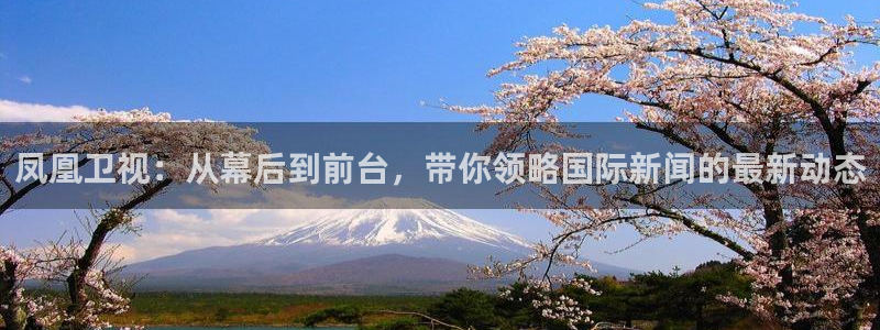nba直播吧山猫体育：凤凰卫视：从幕后到前台，带你领略国际新闻的最新动态