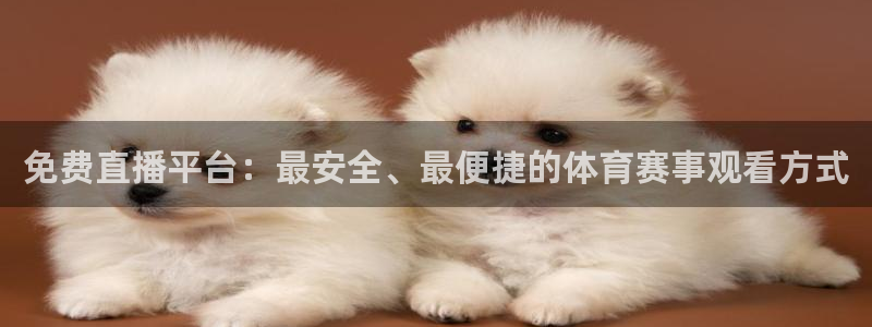 山猫直播体育足球：免费直播平台：最安全、最便捷的体育赛事观看方式