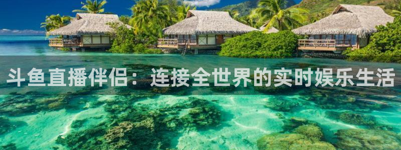 山猫在线体育直播篮球：斗鱼直播伴侣：连接全世界的实时娱乐生活