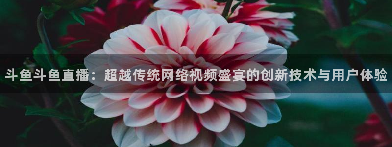 山猫直播足球免费：斗鱼斗鱼直播：超越传统网络视频盛宴的创新技术与用户体验