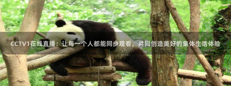 nba直播在线直播观看山猫：CCTV1在线直播：让每一个人都能同步观看，共同创造美好的集体生活体验