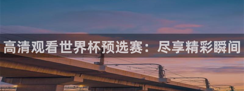 山猫足球免费直播高清视频大全：高清观看世界杯预选赛：尽享精彩瞬间