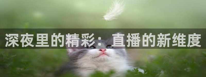 山猫体育篮球直播：深夜里的精彩：直播的新维度