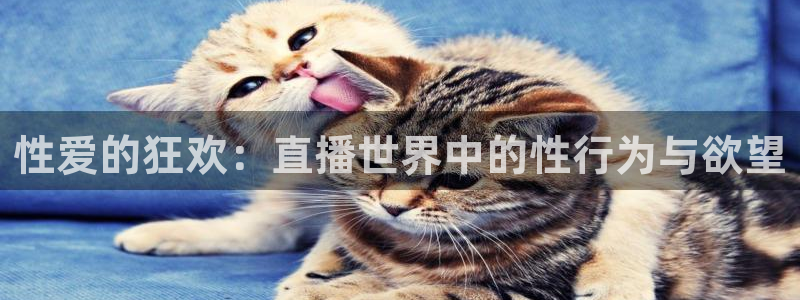 山猫直播体育app：性爱的狂欢：直播世界中的性行为与欲望