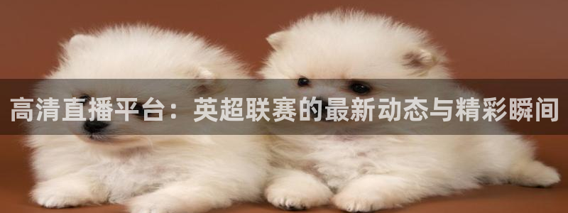 山猫直播体育官网：高清直播平台：英超联赛的最新动态与精彩瞬间