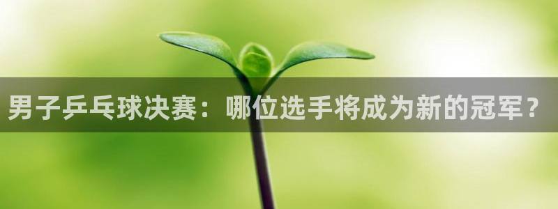 山猫足球免费直播：男子乒乓球决赛：哪位选手将成为新的冠军？