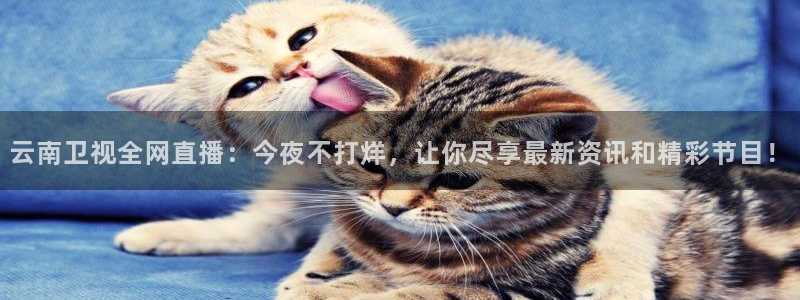 山猫体育免费直播最新：云南卫视全网直播：今夜不打烊，让你尽享最新资讯和精彩节目！
